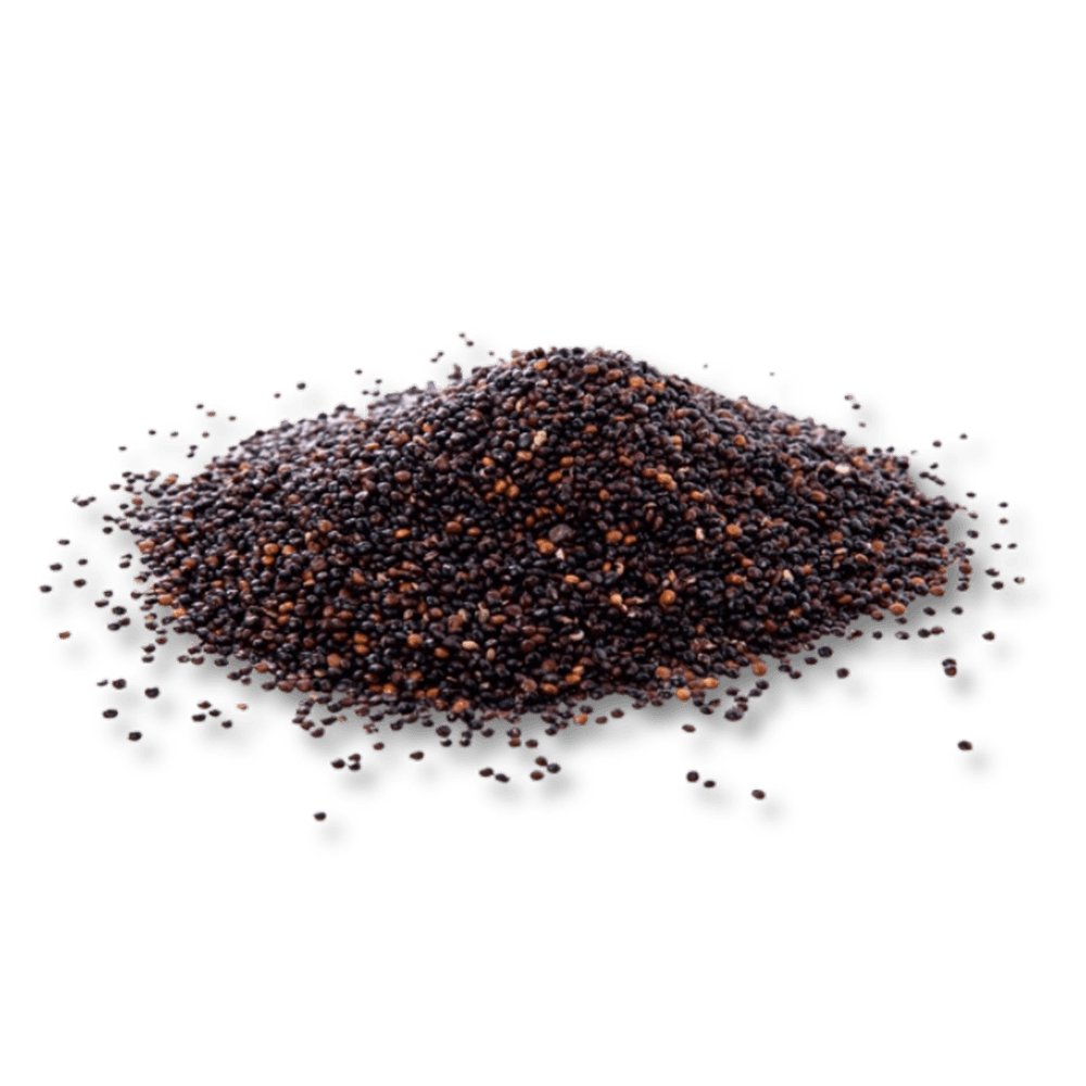CANOLA GRAIN