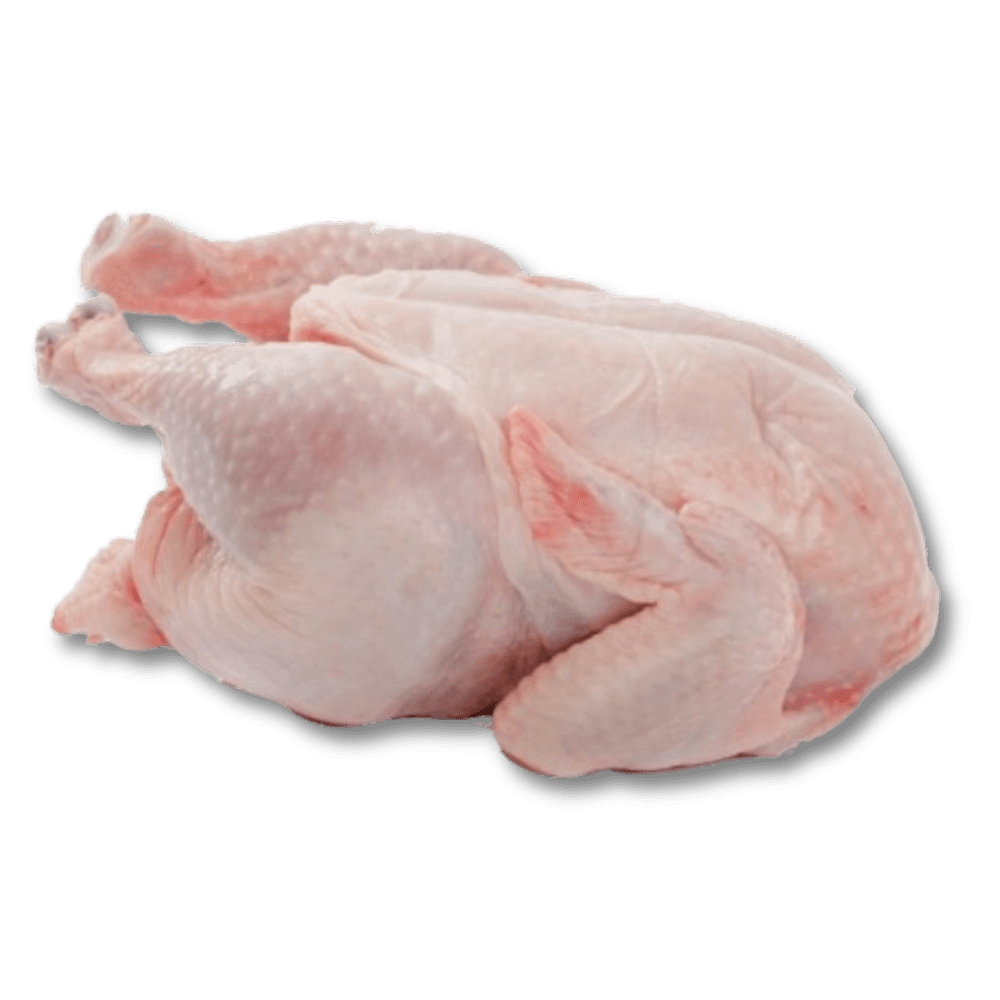 POULTRY (CHICKEN)