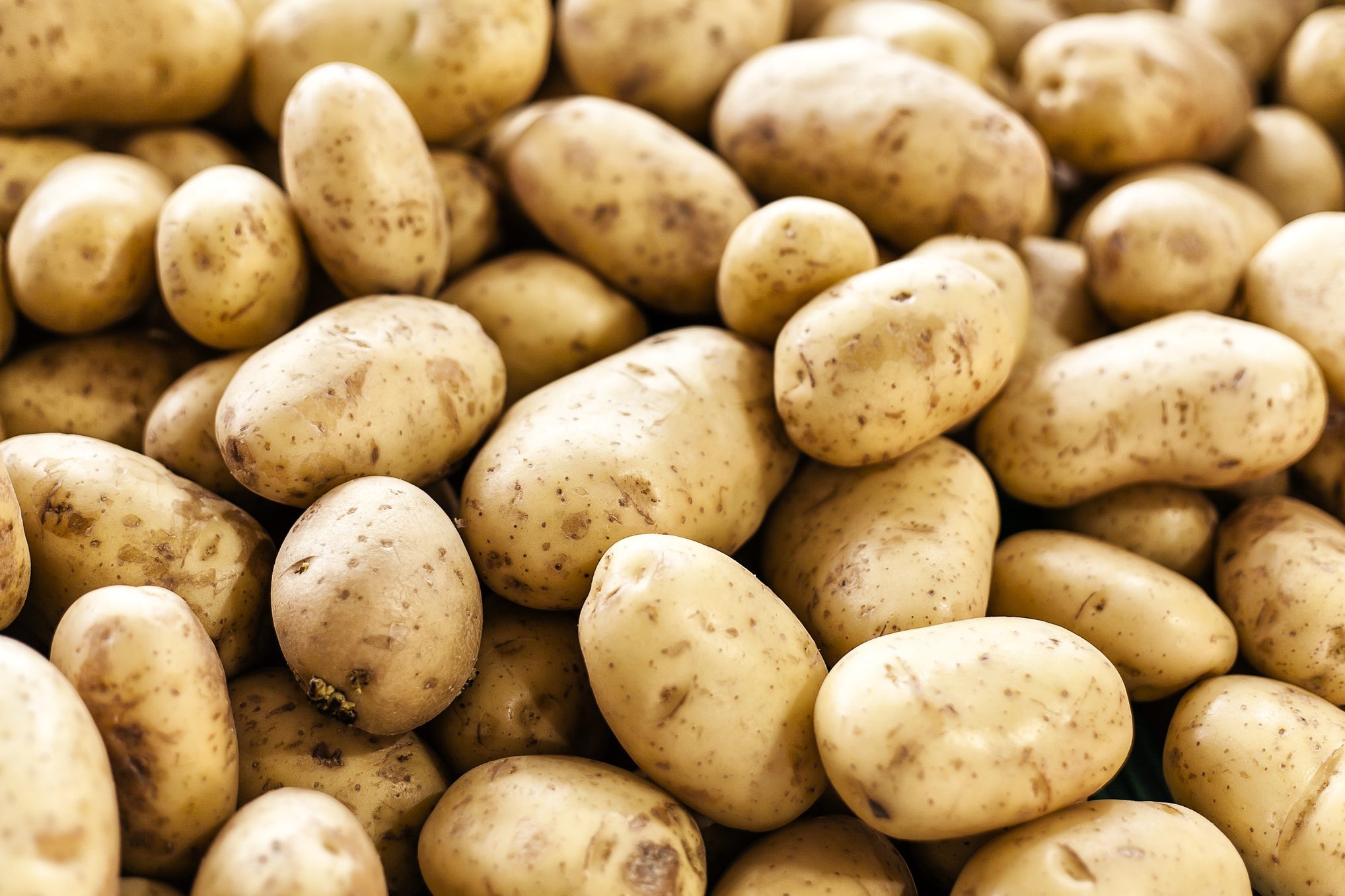 POTATO